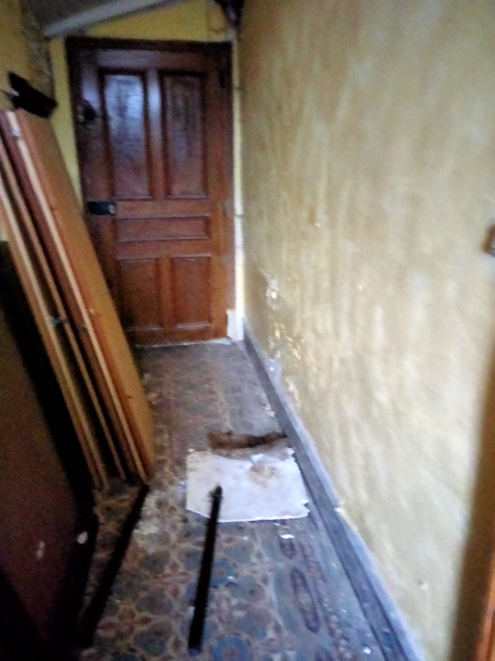 home-img 2 Sas DentreeA Scaled