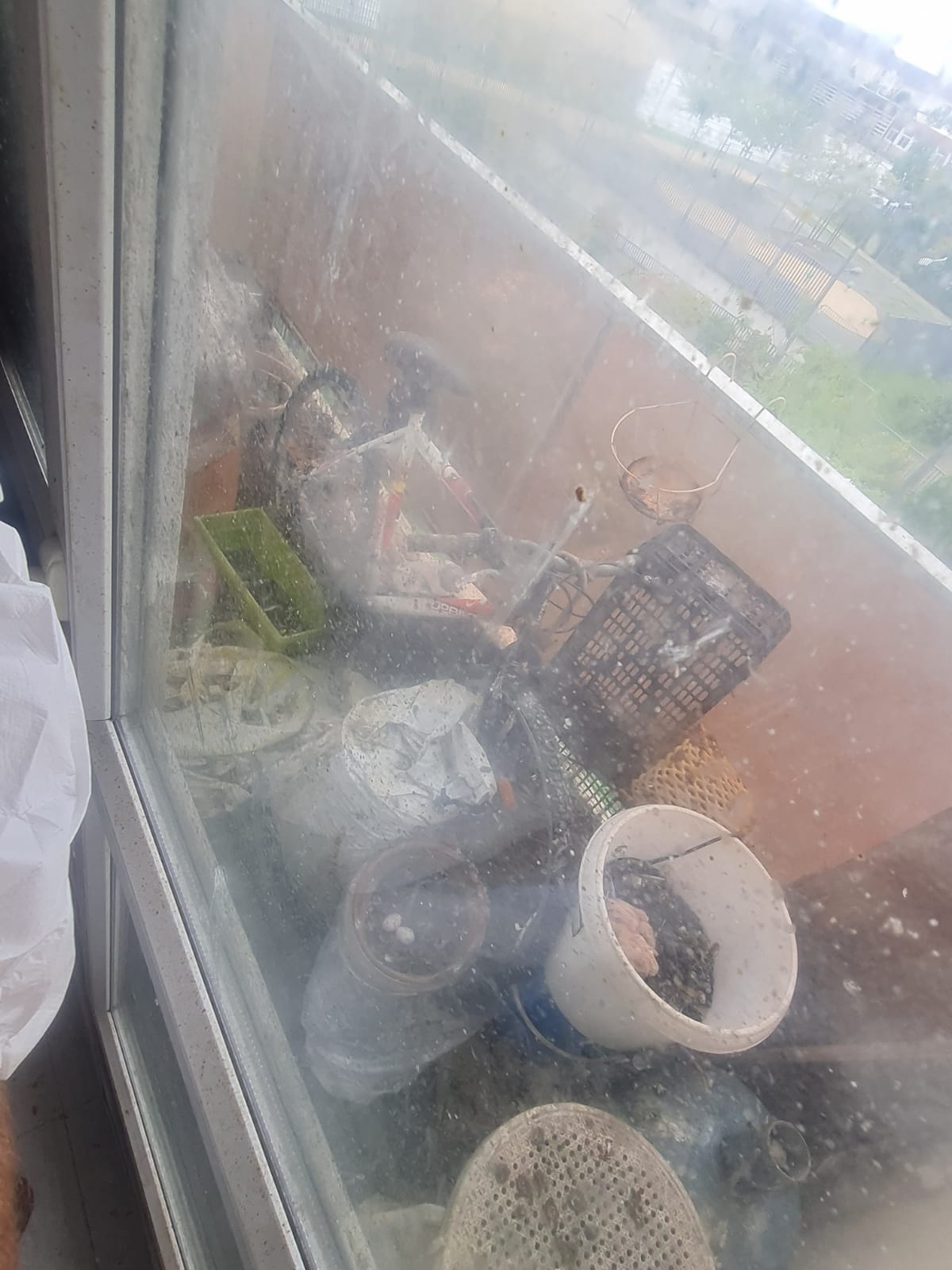 gallery-03 IMG 20241016 WA0063